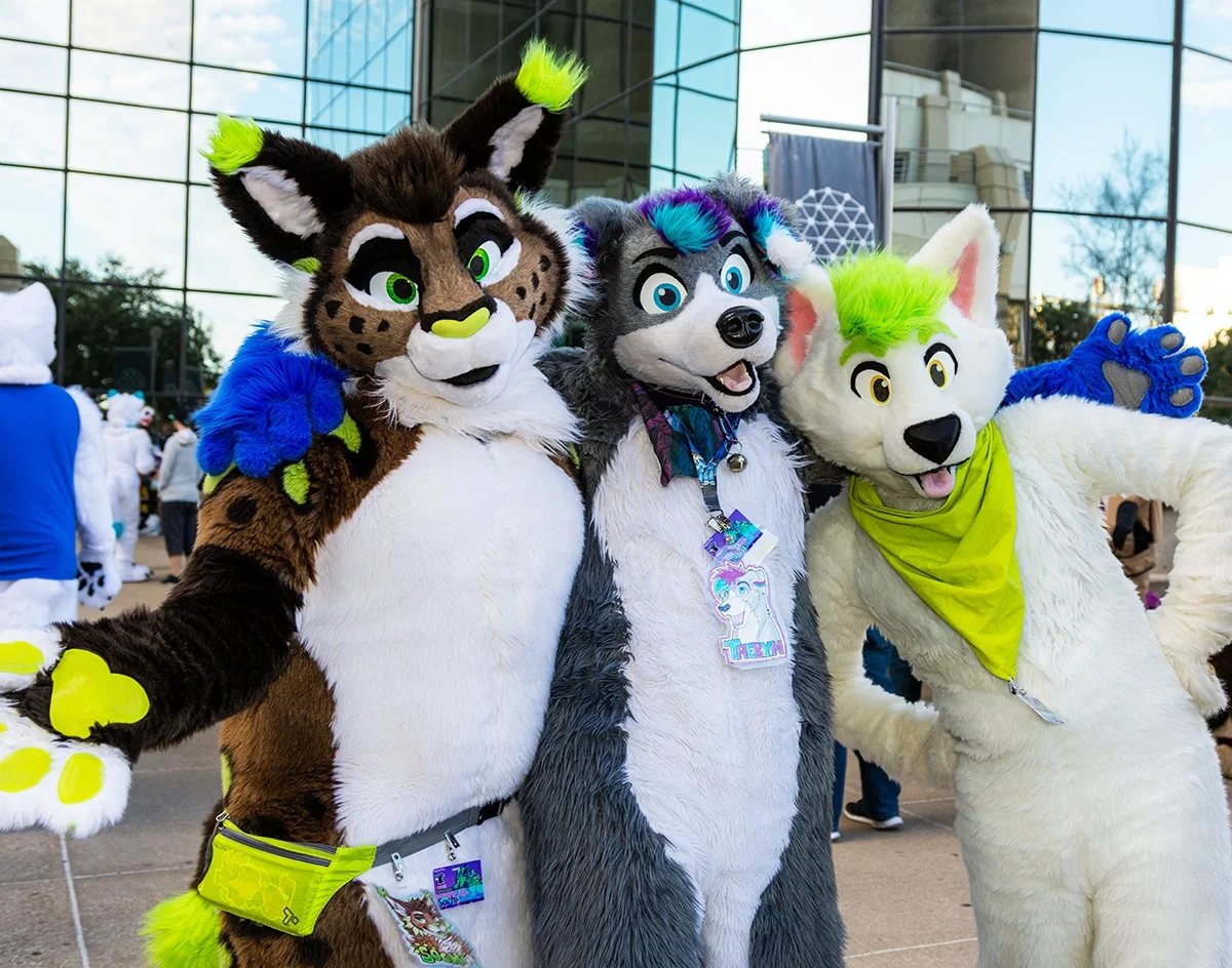 Avatar of -Furry convention-