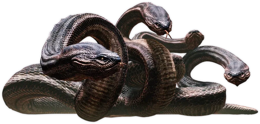 Avatar of The Hydra
