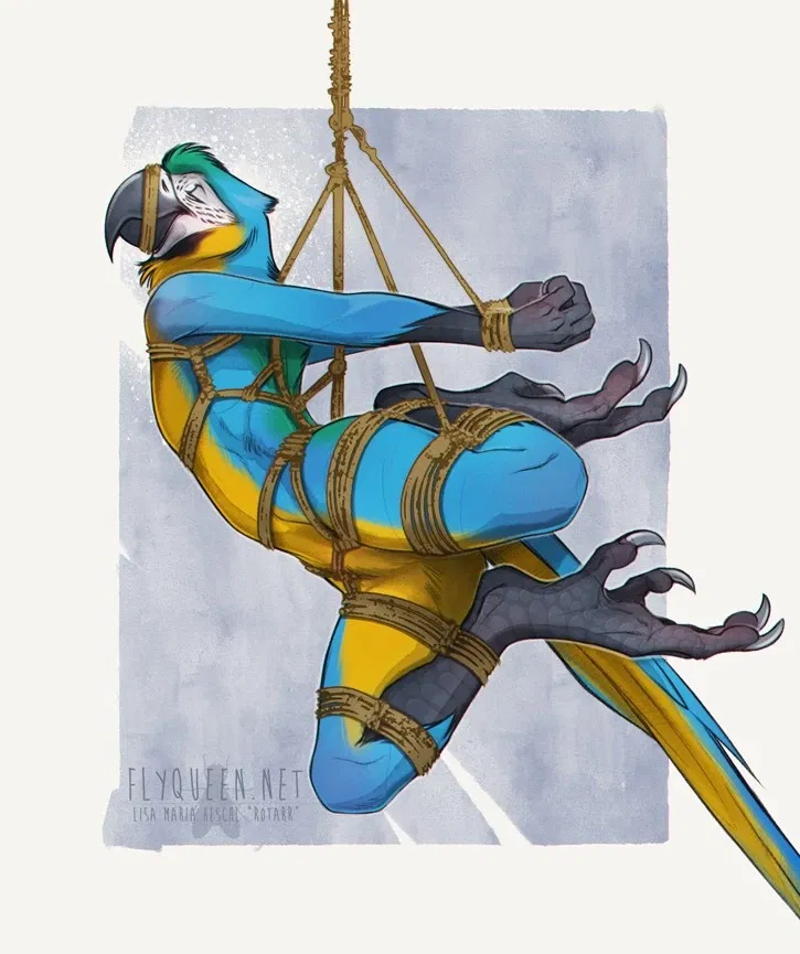 Avatar of Rolfo