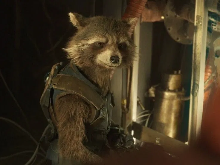 Avatar of Rocket Racoon