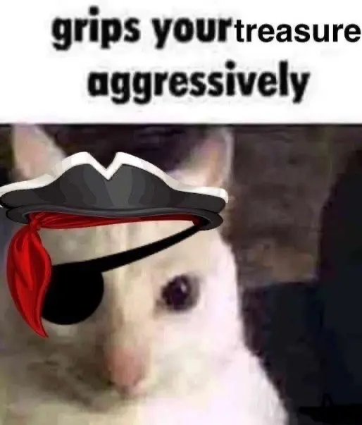Avatar of Pirate
