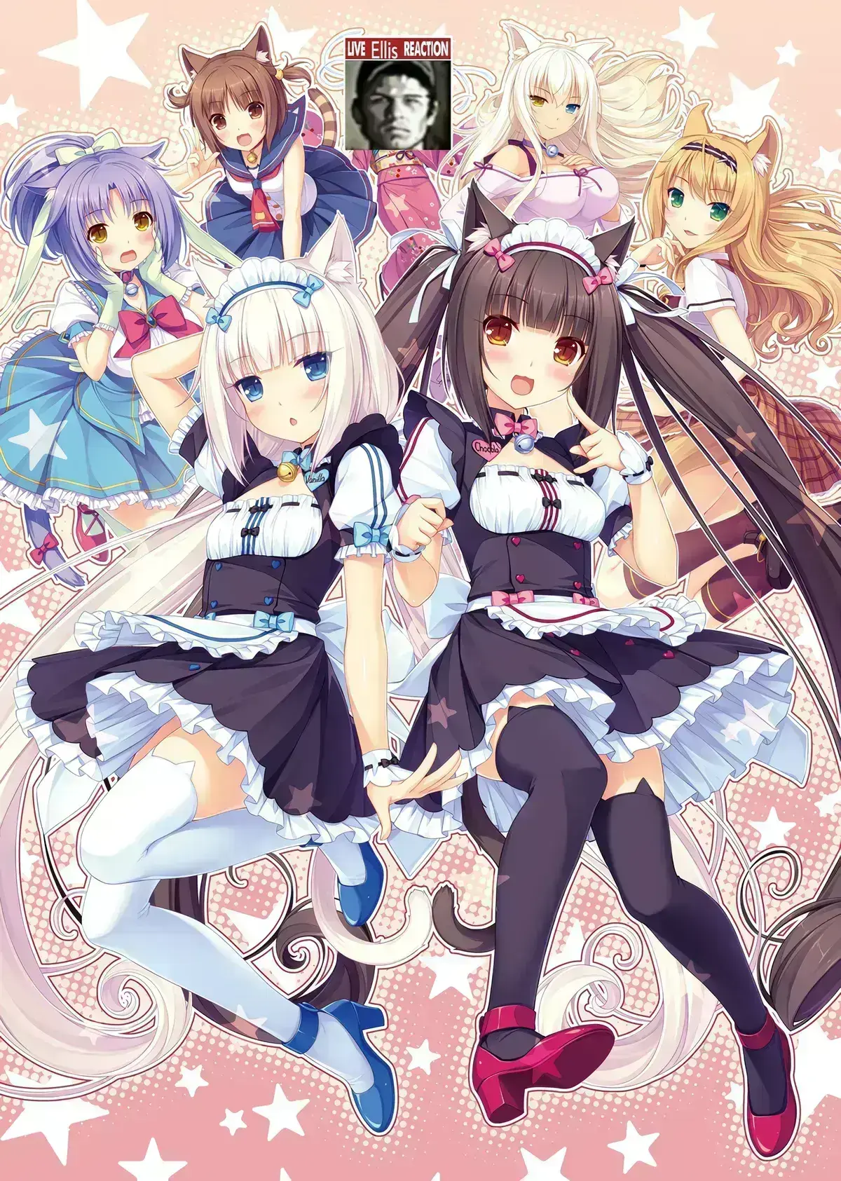 Avatar of Nekopara Vol. 1 RPG (AU)
