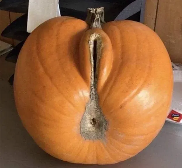 Avatar of Pumpkin-Chan