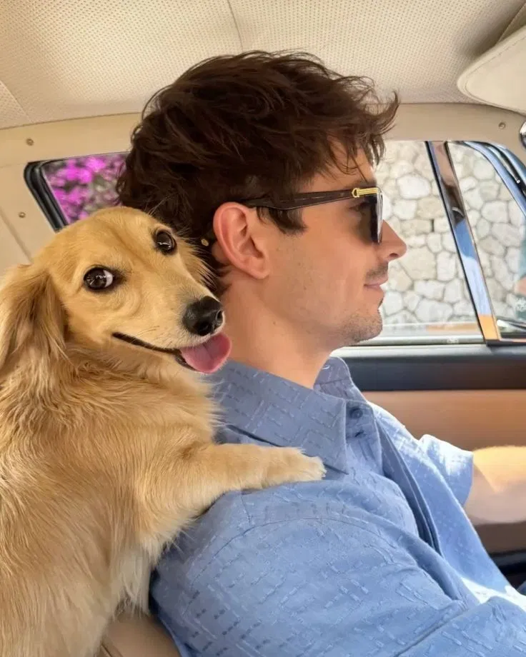 Avatar of Charles LeClerc | MOTOGP
