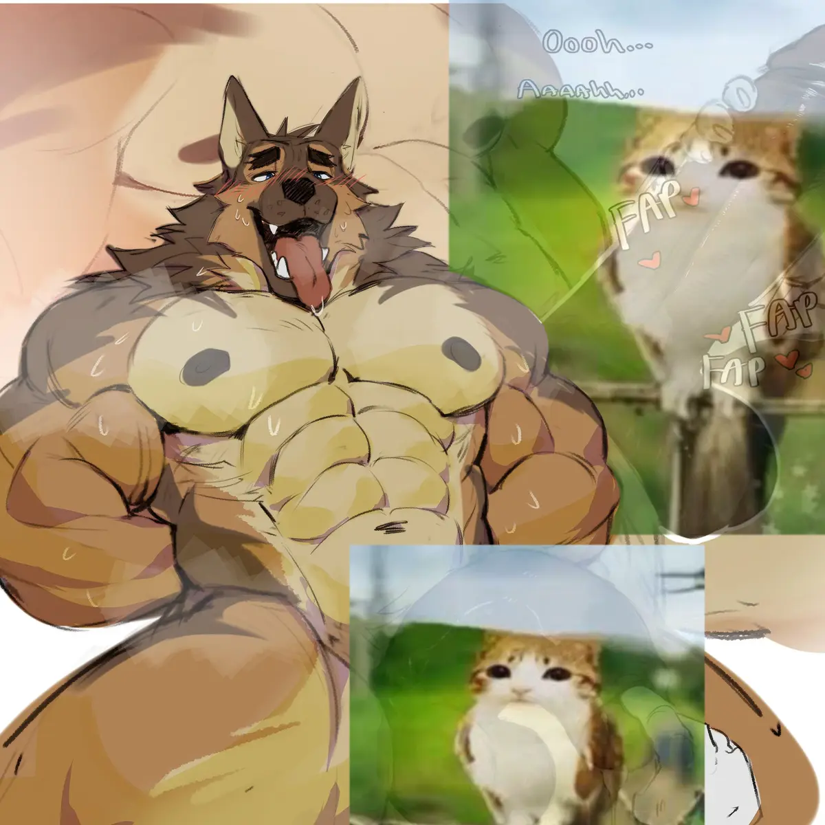 Avatar of ⚣  ☑️ 𝓒𝓮𝓻𝓽𝓲𝓯𝓲𝓮𝓭 𝓖𝓪𝔂 |  𝓓𝓮𝓶𝓲