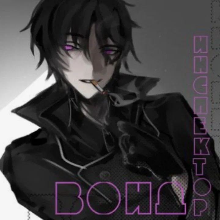 Avatar of Chief Inspector Void