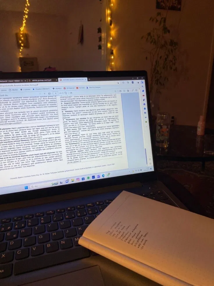 Avatar of Diary Writer