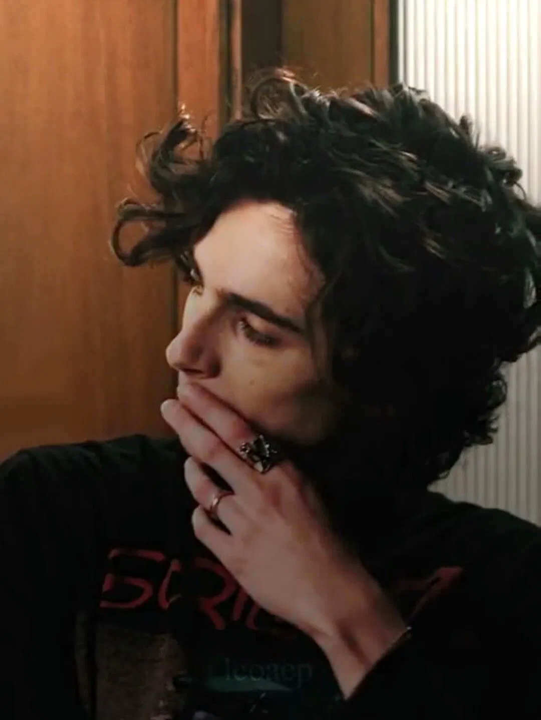 Avatar of Timothee Chalamet