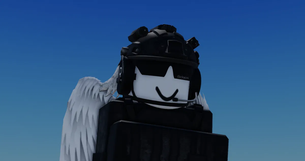 Avatar of ◛  _ valkyrie   /   valk 