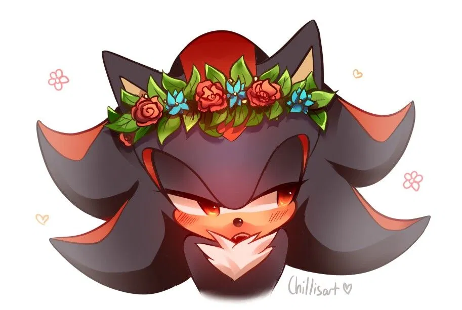 Avatar of Shadow The Hedgehog