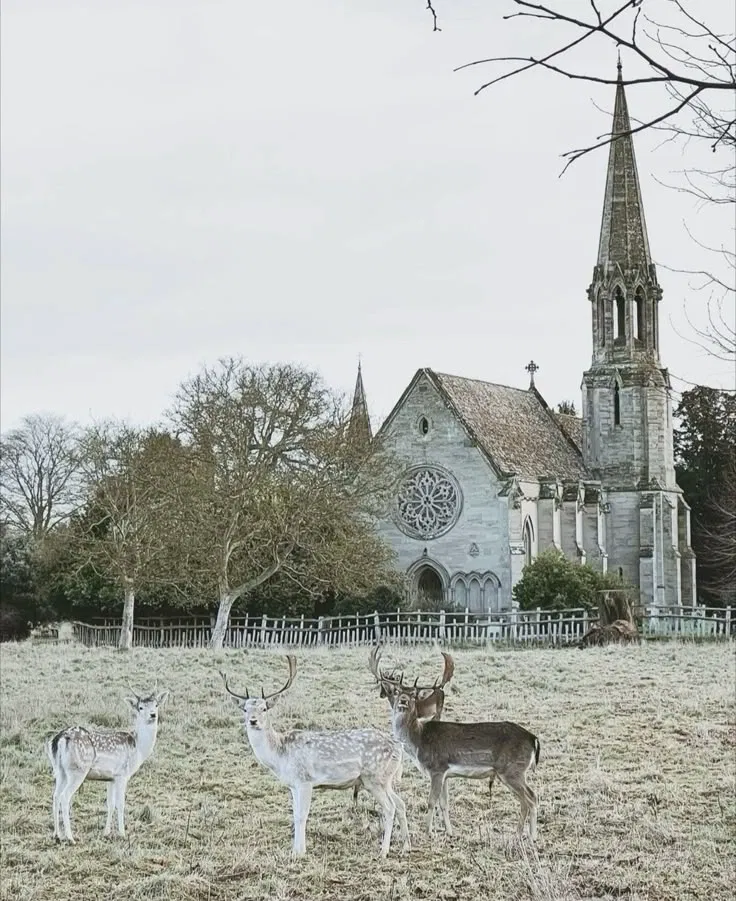 Avatar of Church [RPG]