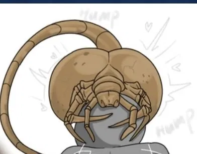 Avatar of Cock huggers!