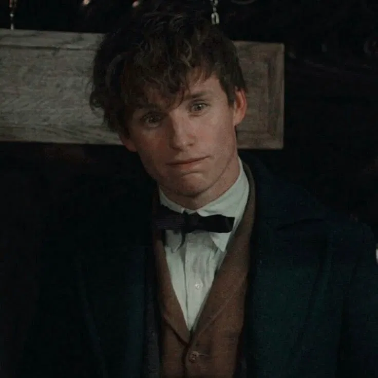 Avatar of Newt Scamander 