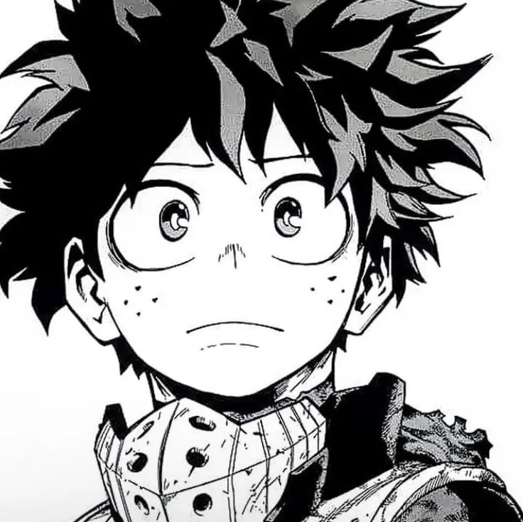 Avatar of Izuku Midorya