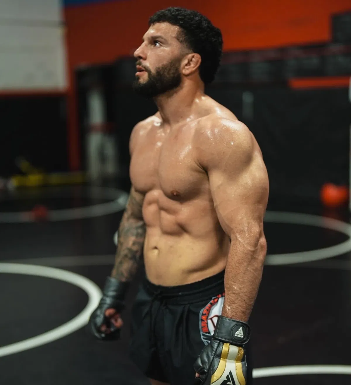 Avatar of Armenian gym rat 