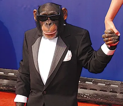 Avatar of Poll time! 🐵