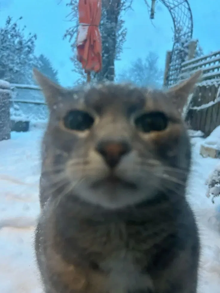 Avatar of I need your Help.