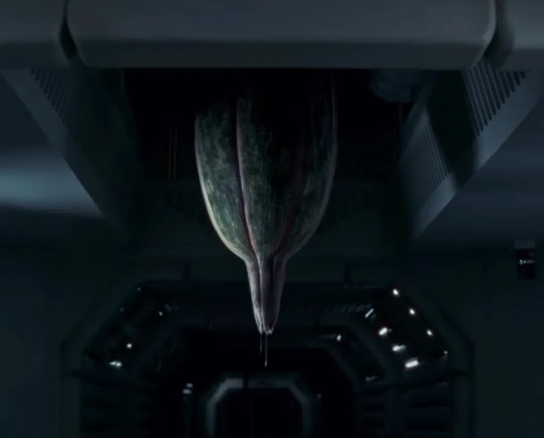 Avatar of D.Plumbicare || Alien: Earth