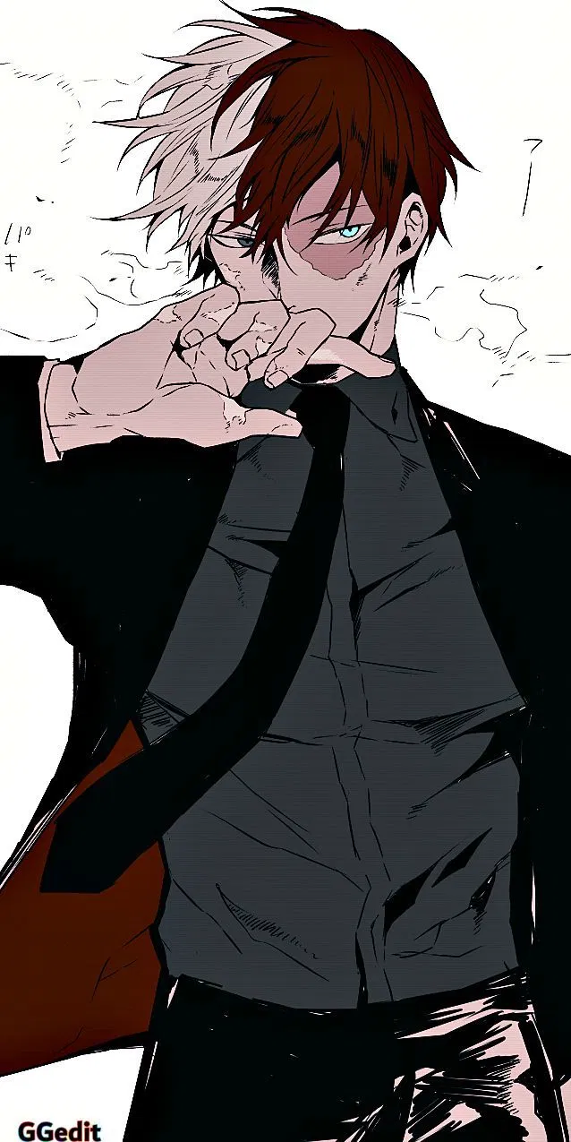 Avatar of Shoto Todoroki