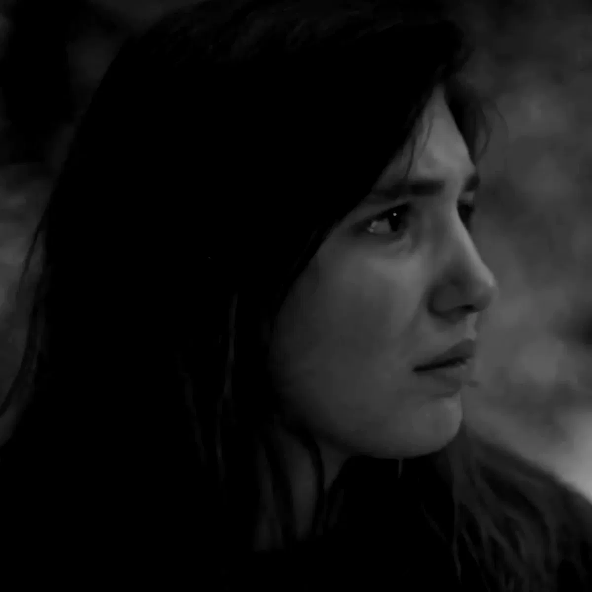 Avatar of Shauna Shipman