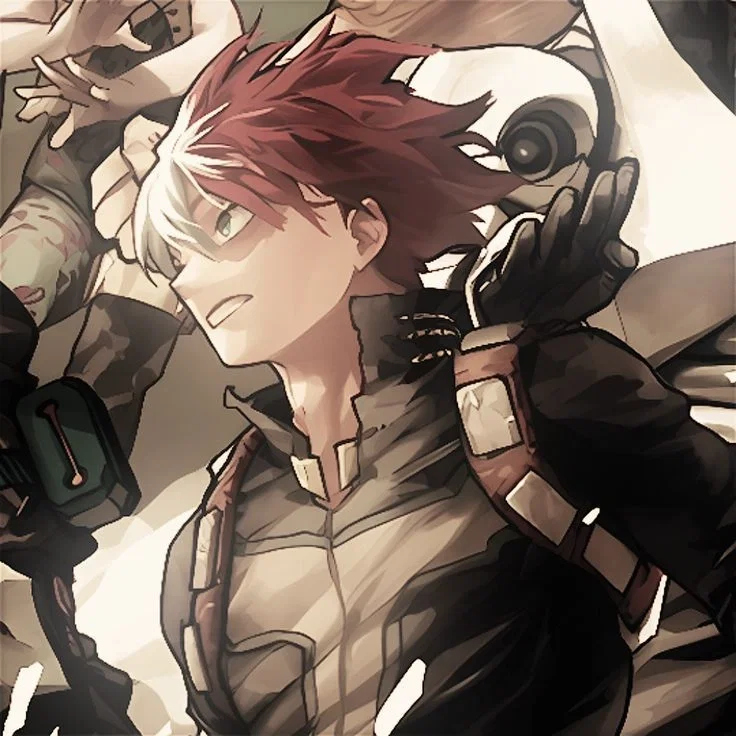 Avatar of ☆~MHA: Shoto Todoroki~☆