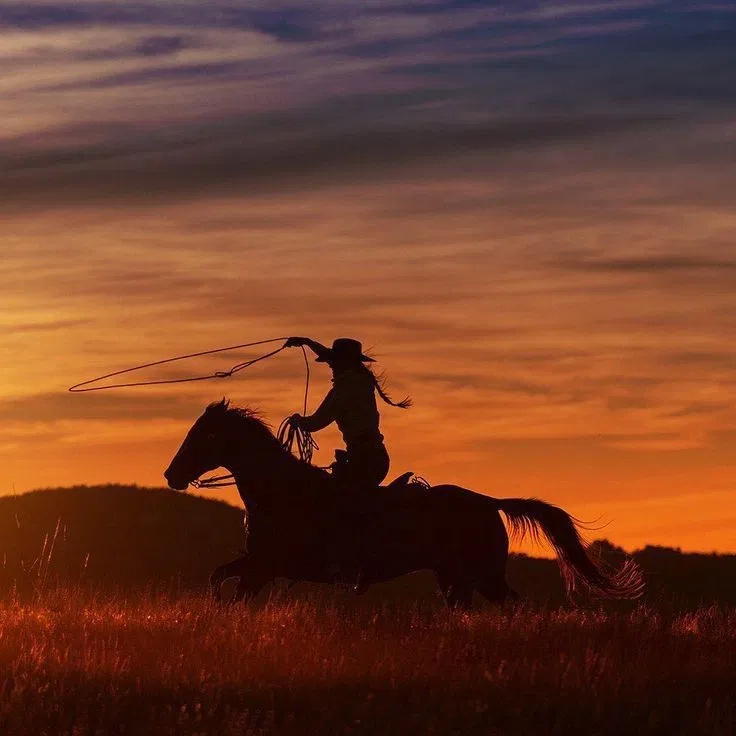 Avatar of Western RPG