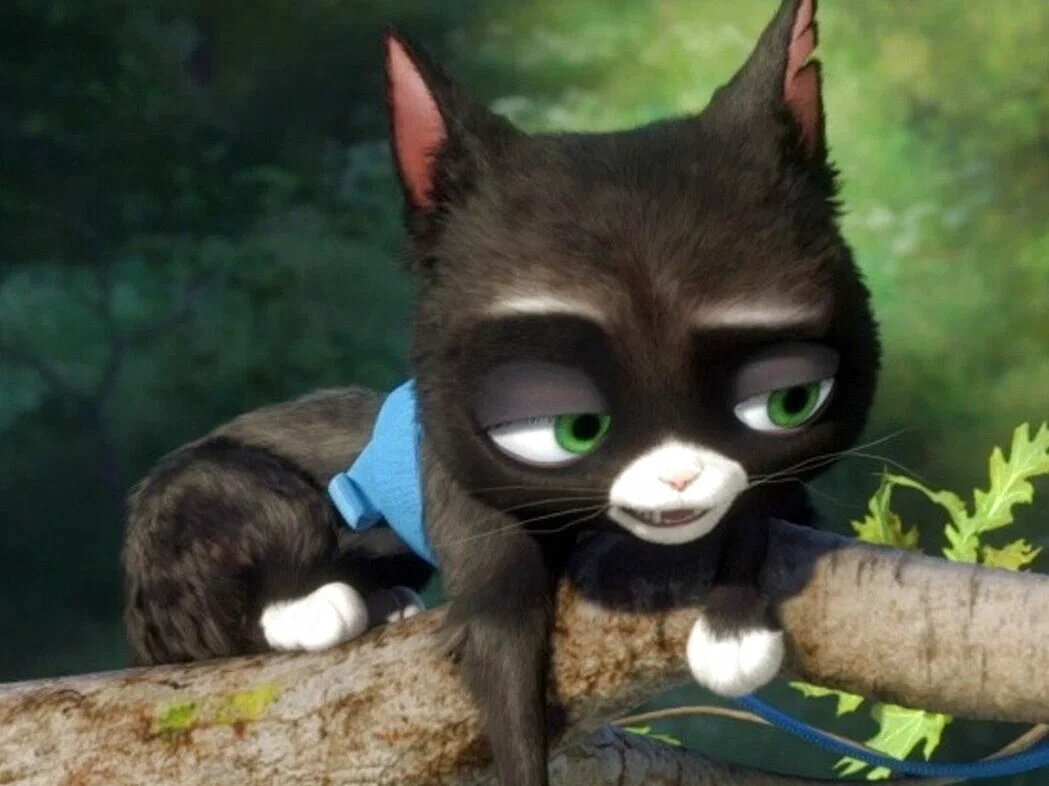 Avatar of Mittens