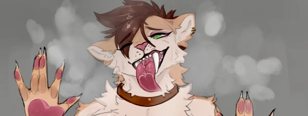 Avatar of Toofer 