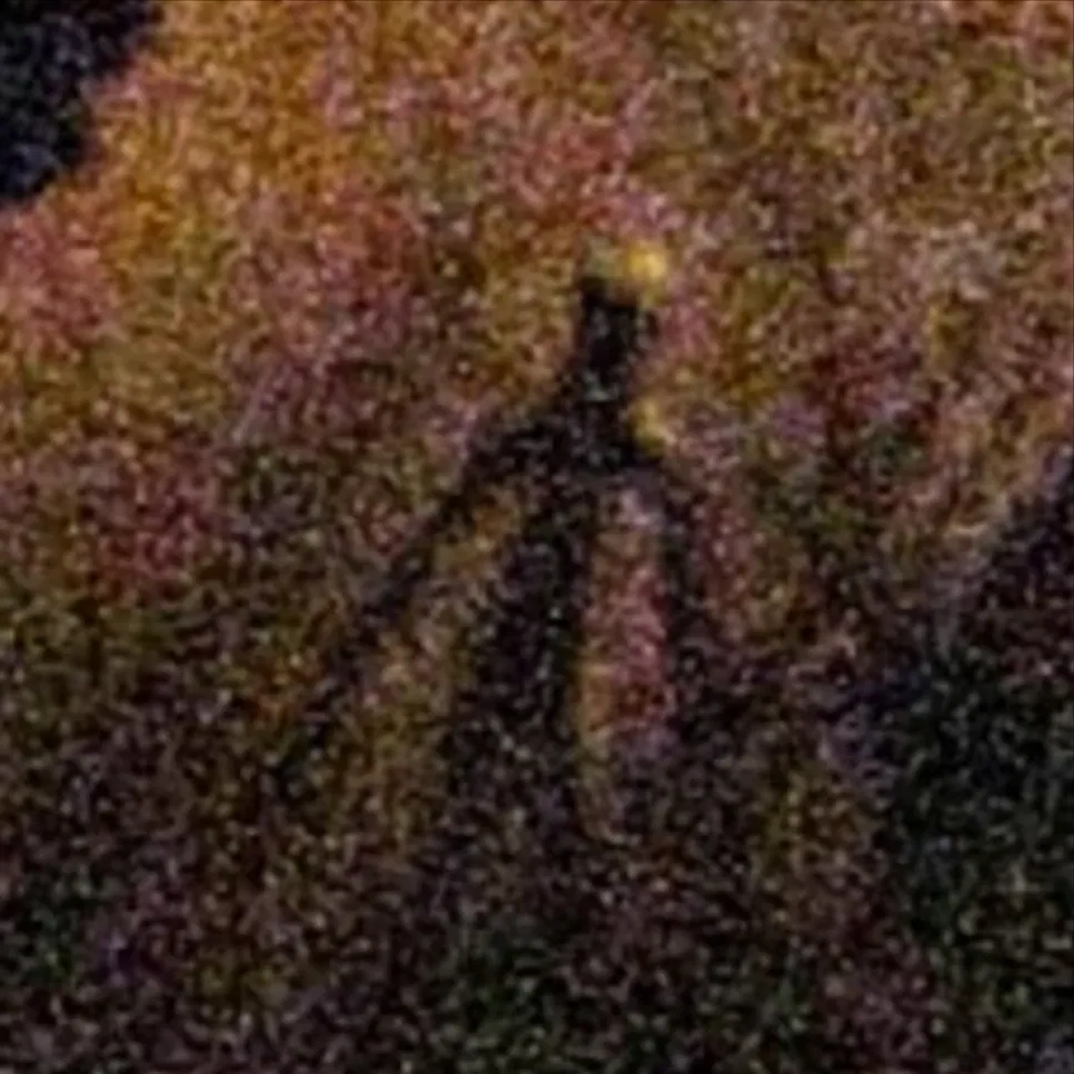Avatar of black stick man (the thing from station 922)