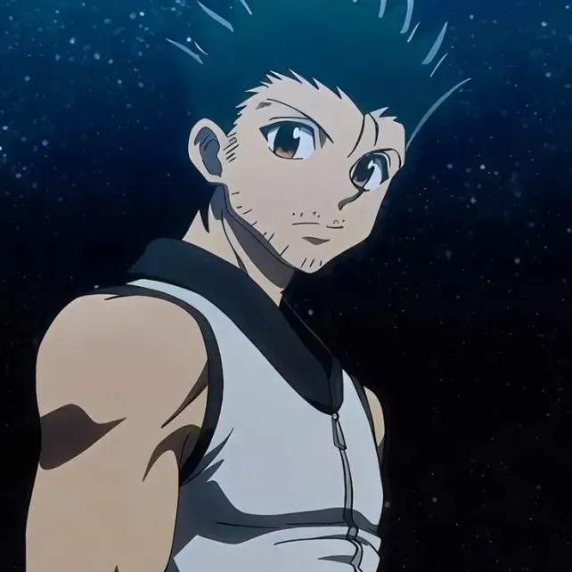 Avatar of Ging Freecs(french)