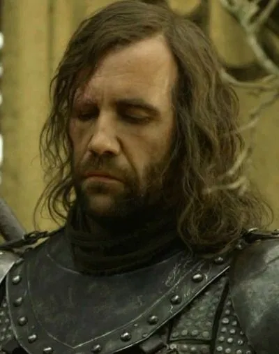 Avatar of Sandor Clegane || Wildling