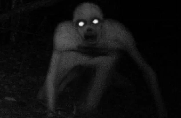 Avatar of The Rake