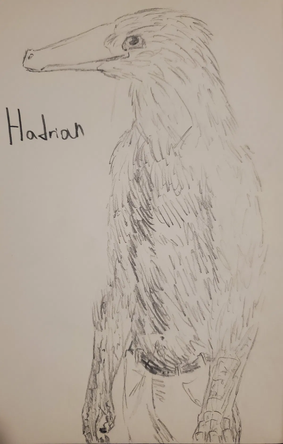 Avatar of Hadrian (OC STORY)