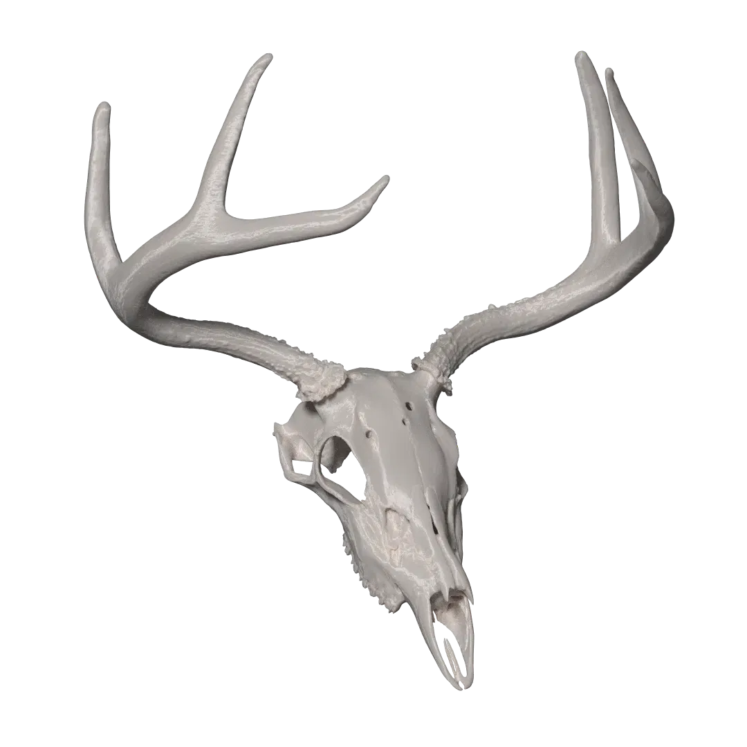 Avatar of SCP-323