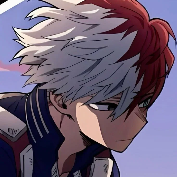 Avatar of Shoto Todoroki