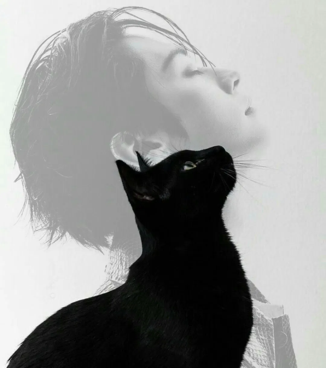 Avatar of Lee Minho — Cat