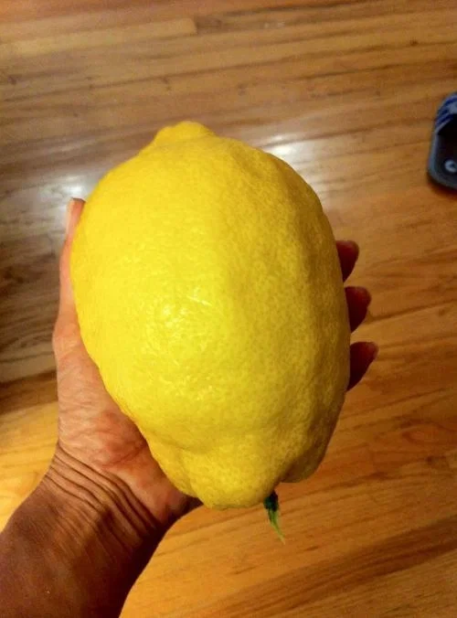 Avatar of The lemon god