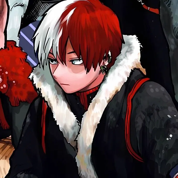 Avatar of ☆SHOTO TODROKI V1🔥🧊