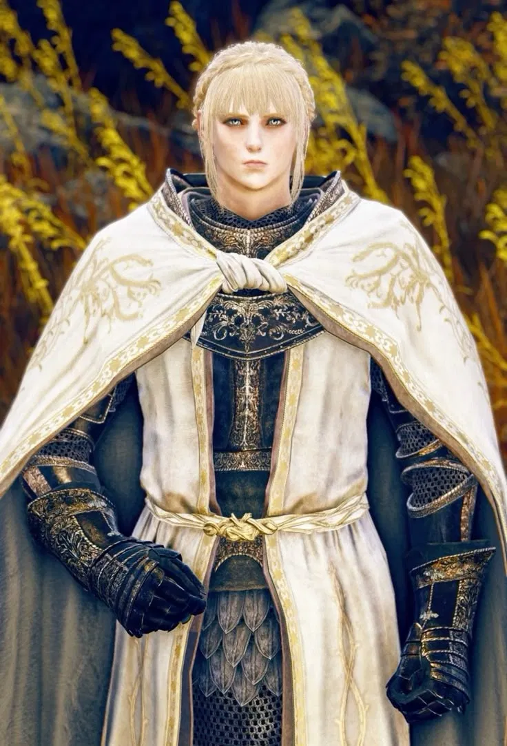 Avatar of Needle Knight Leda