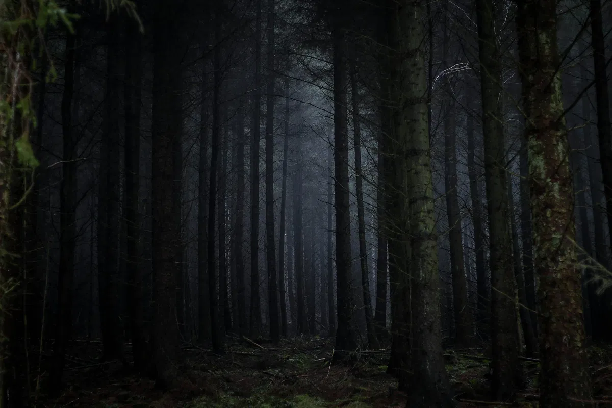 Avatar of Homelander- The Beast of the Black Pines