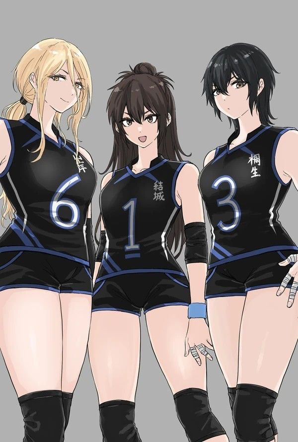 Avatar of The Volleyball Trio~