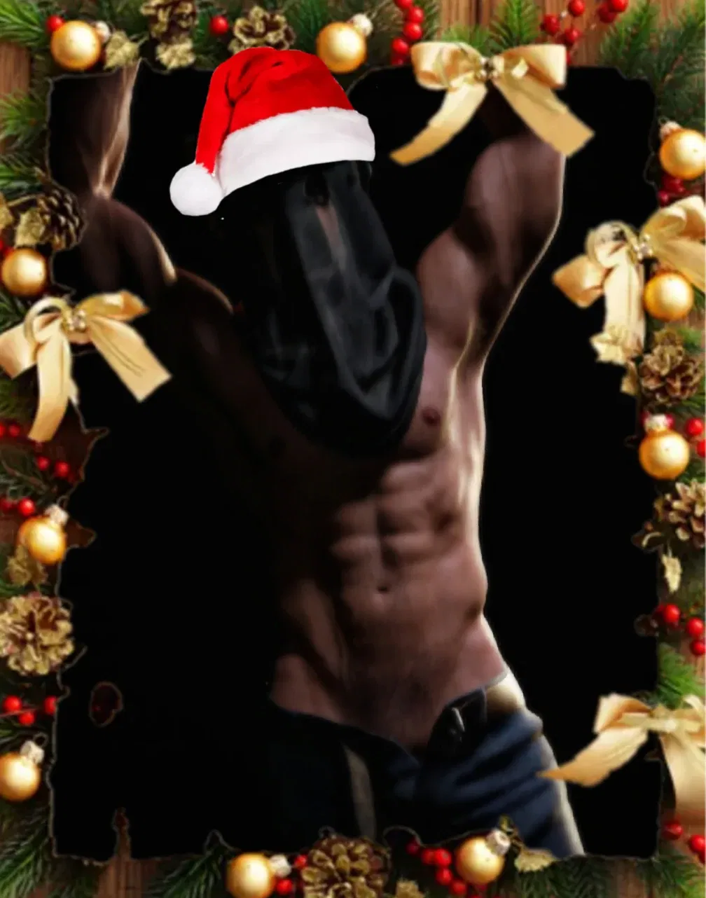 Avatar of 🎅 Secret Santa