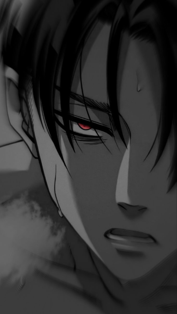 Avatar of Levi Ackerman 