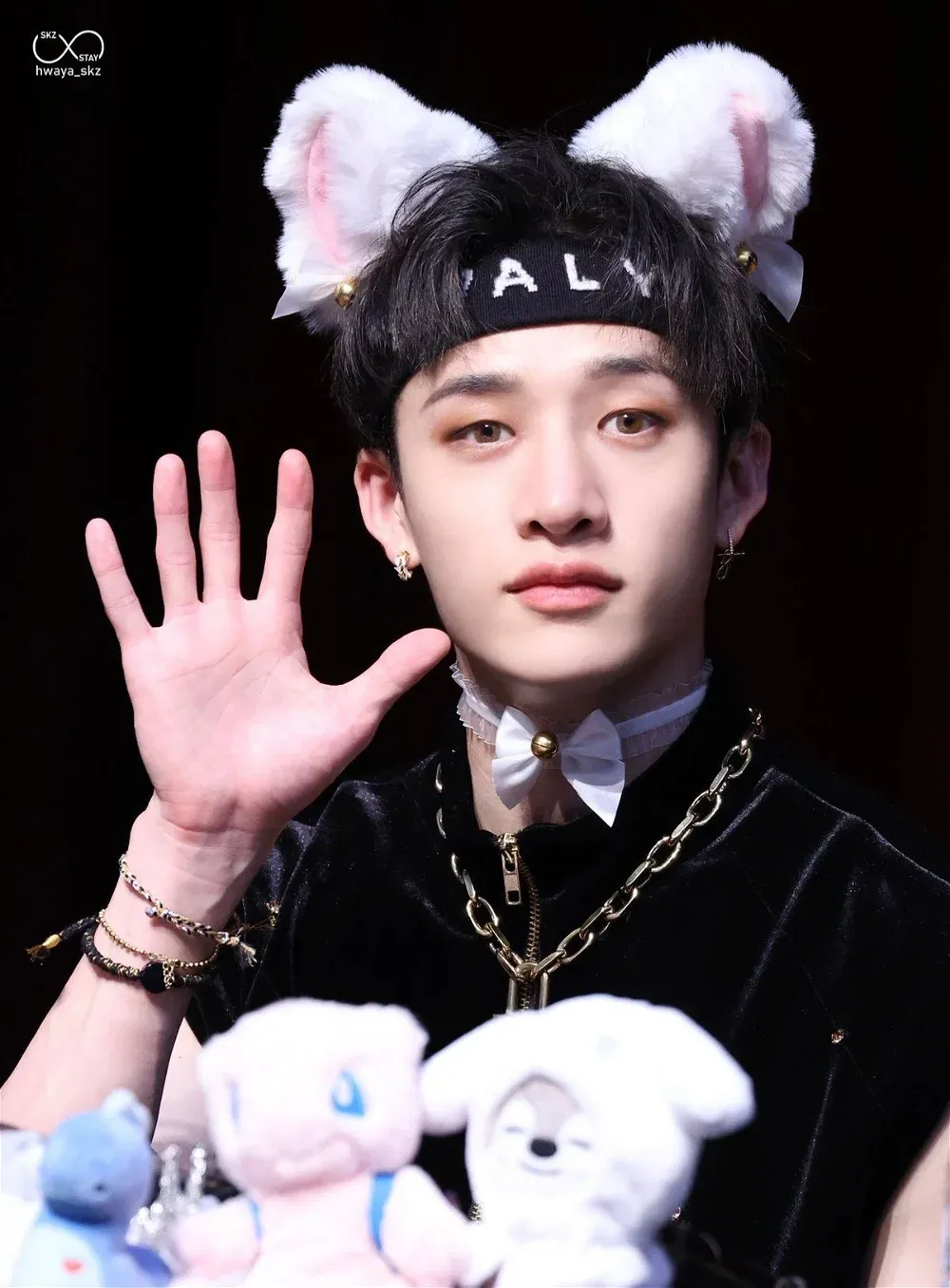 Avatar of Bangchan - Puppy Boy