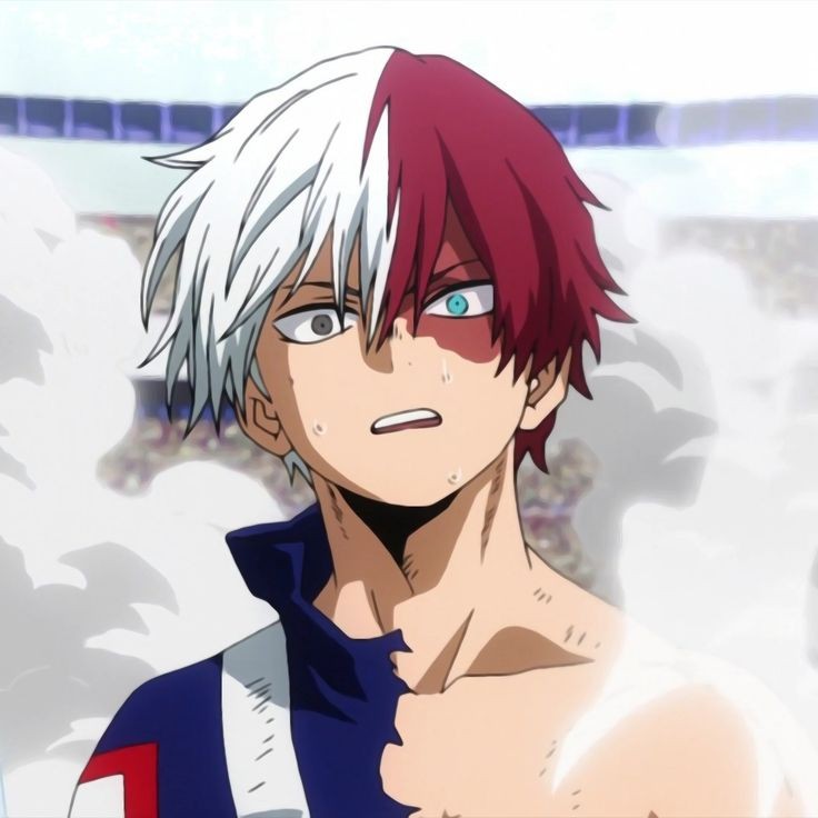 Avatar of Shoto 