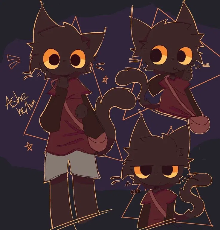 Avatar of Ashe || Way too curious cat roomie