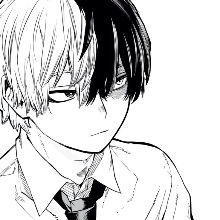 Avatar of Shoto Todoroki