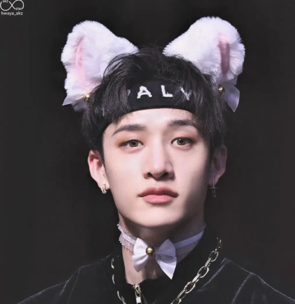 Avatar of ۶ৎ - Bang Chanˎˊ˗ (Puppy Demi-Human)