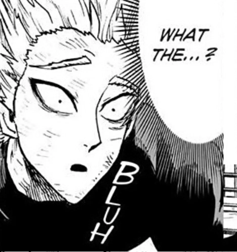 Avatar of Garou