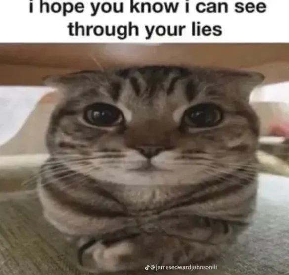 Avatar of Whiskers 